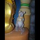 Das Reittier Ganeshas, eine Ratte